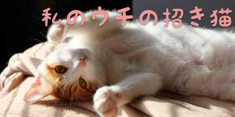 カワイイがいっぱい！ワンダーランド